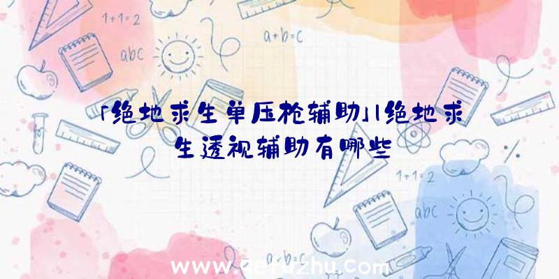 「绝地求生单压枪辅助」|绝地求生透视辅助有哪些